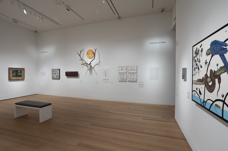 Installation view, James Prosek: Art, Artifact, Artifice
