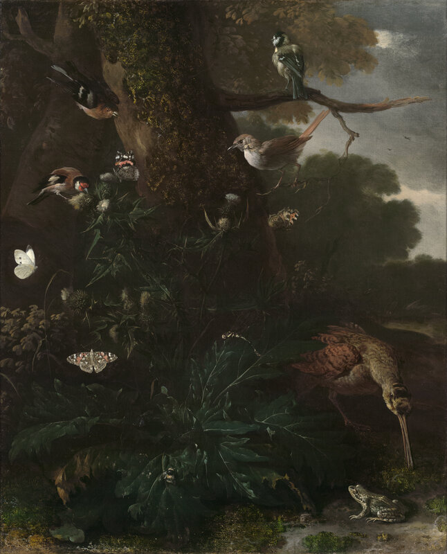 Painting by Melchior d’Hondecoeter of animals and plants in the forest.