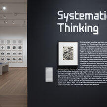 Title wall of an exhibition called "Systematic Thinking"