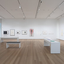 A view of an installation in a gallery with wooden floors and white walls and ceilings. Artworks hang on the walls. Two vitrines stand in the middle of the room, alongside a bench. A doorway is visible in the left background.