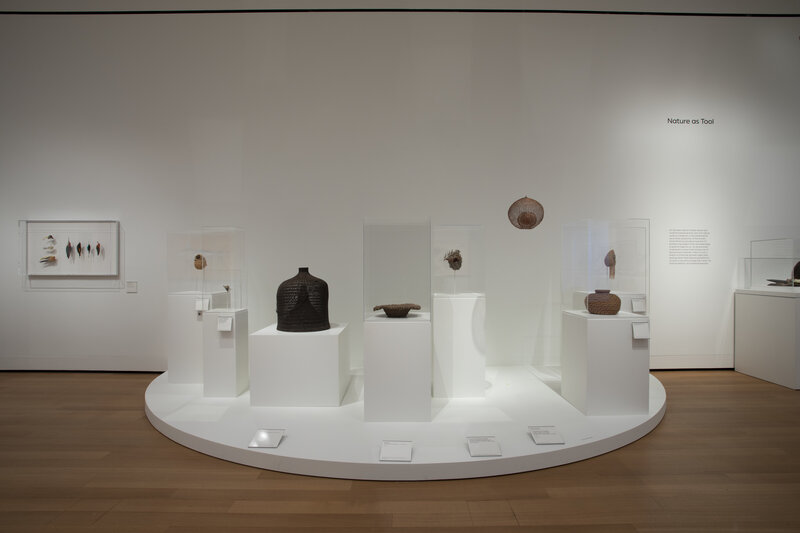 Installation view, James Prosek: Art, Artifact, Artifice