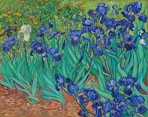 Vincent van Gogh, Irises, May 1889. Oil on canvas. J. Paul Getty Museum, Los Angeles